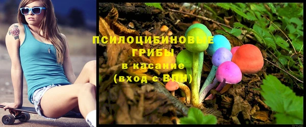 мдпв Армянск