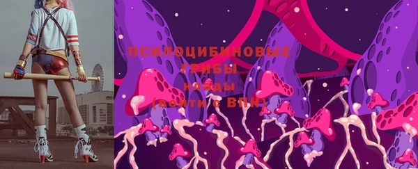 герыч Арсеньев