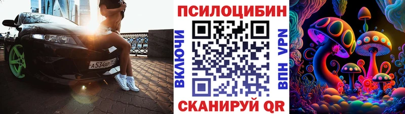 Псилоцибиновые грибы Psilocybe  где купить   omg зеркало  Тогучин 